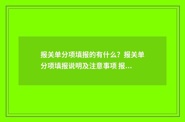 报关单分项填报的有什么？报关单分项填报说明及注意事项 报关单申报项目录入指南
