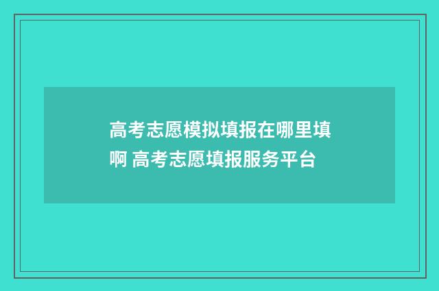 高考志愿模拟填报在哪里填啊 高考志愿填报服务平台