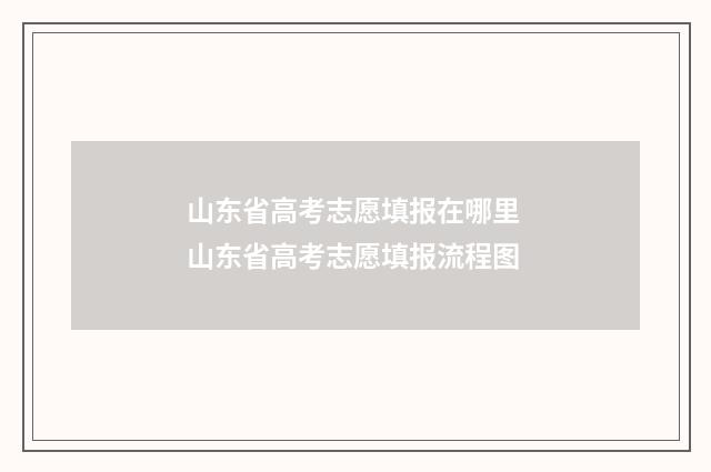 山东省高考志愿填报在哪里 山东省高考志愿填报流程图