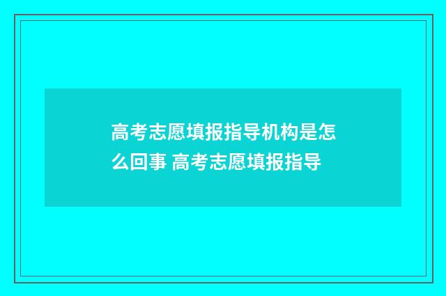 高考志愿填报指导机构是怎么回事 高考志愿填报指导