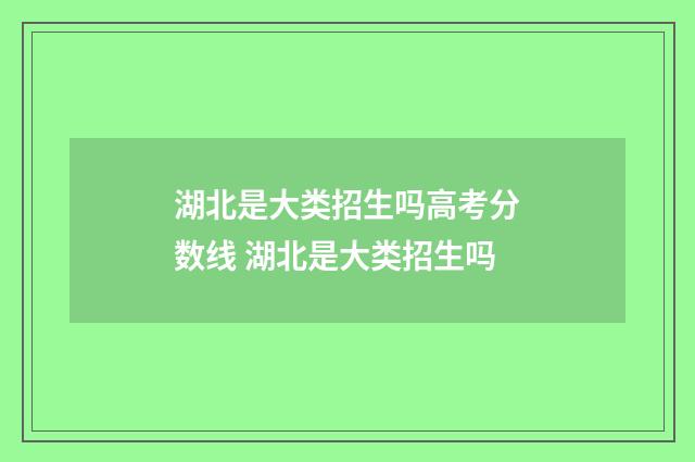 湖北是大类招生吗高考分数线 湖北是大类招生吗