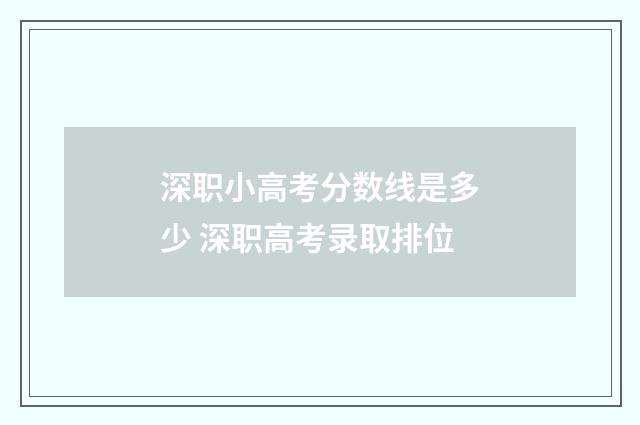 深职小高考分数线是多少 深职高考录取排位