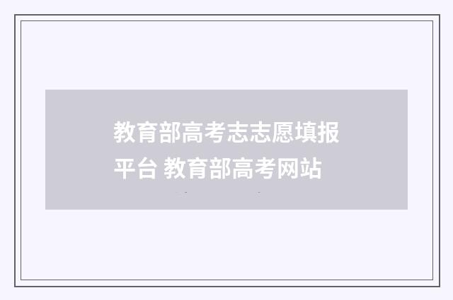 教育部高考志志愿填报平台 教育部高考网站