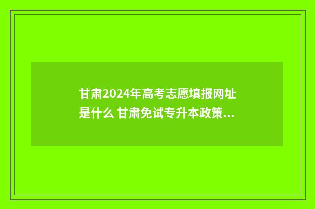甘肃2024年高考志愿填报网址是什么 甘肃免试专升本政策2024