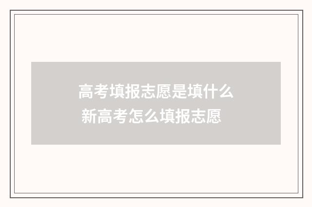 高考填报志愿是填什么 新高考怎么填报志愿