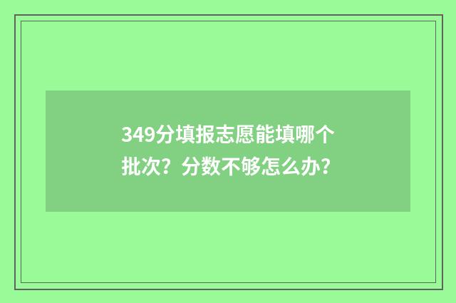 349分填报志愿能填哪个批次？分数不够怎么办？