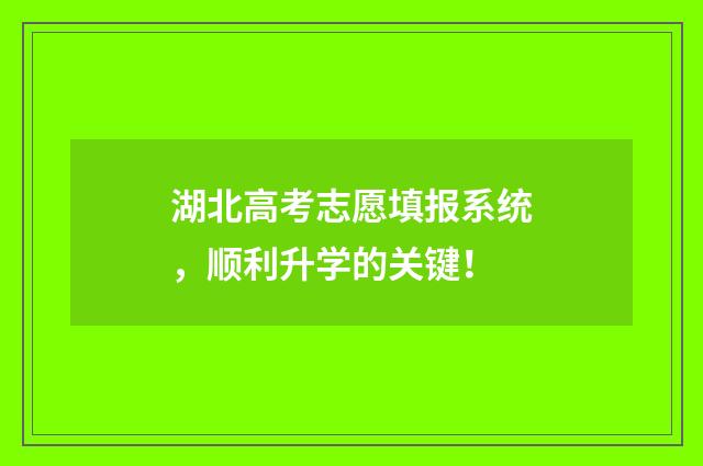 湖北高考志愿填报系统，顺利升学的关键！