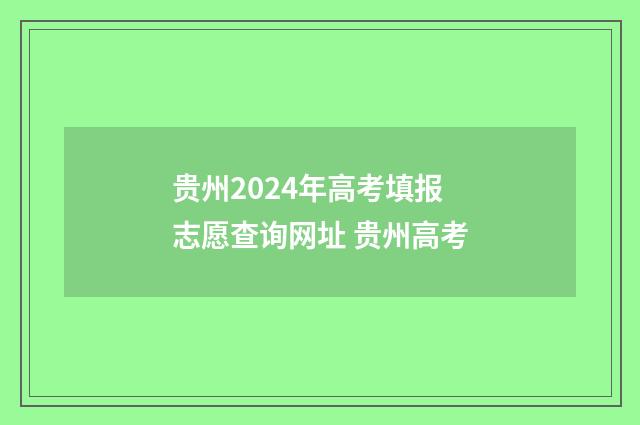 贵州2024年高考填报志愿查询网址 贵州高考