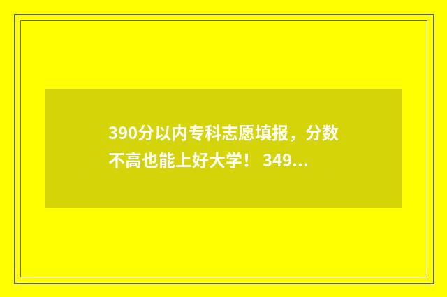 390分以内专科志愿填报,分数不高也能上好大学! 349分的专科