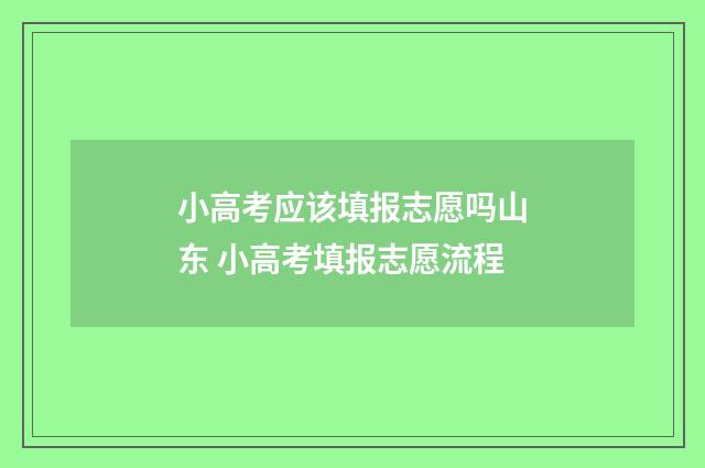 小高考应该填报志愿吗山东 小高考填报志愿流程