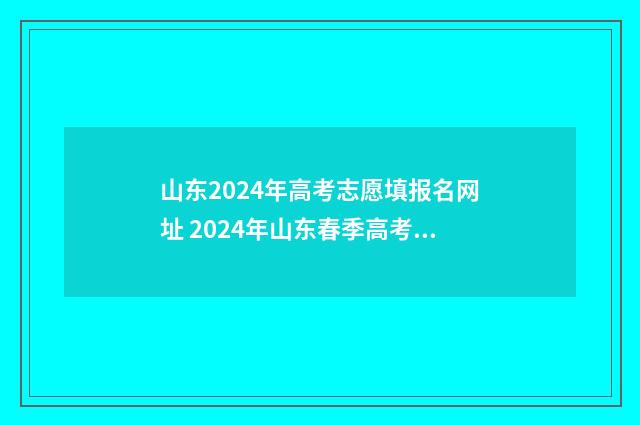 山东2024年高考志愿填报名网址 2024年山东春季高考招生学校