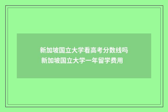 新加坡国立大学看高考分数线吗 新加坡国立大学一年留学费用