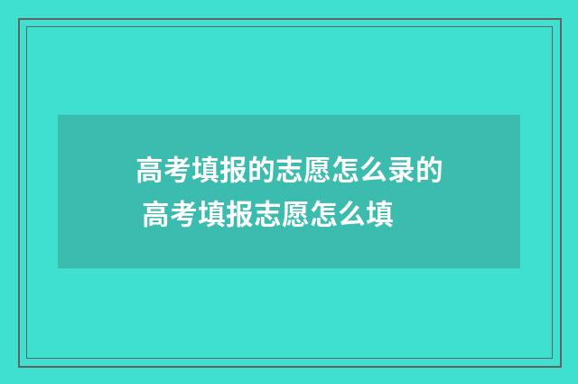 高考填报的志愿怎么录的 高考填报志愿怎么填