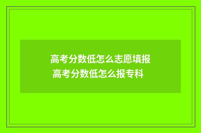 高考分数低怎么志愿填报 高考分数低怎么报专科