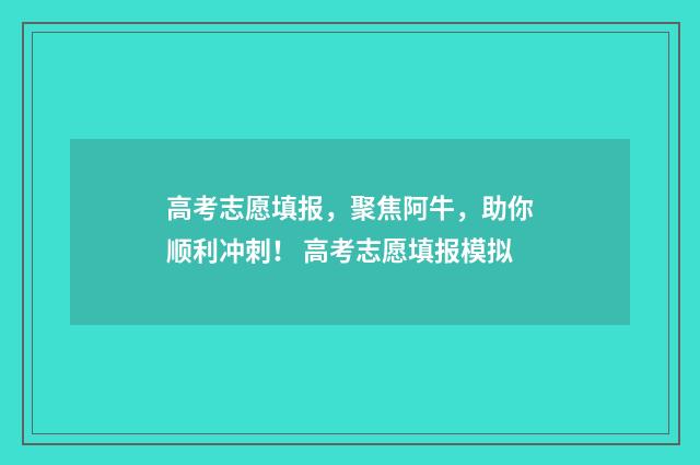 高考志愿填报,聚焦阿牛,助你顺利冲刺! 高考志愿填报模拟