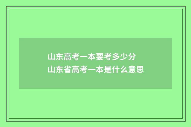 山东高考一本要考多少分 山东省高考一本是什么意思