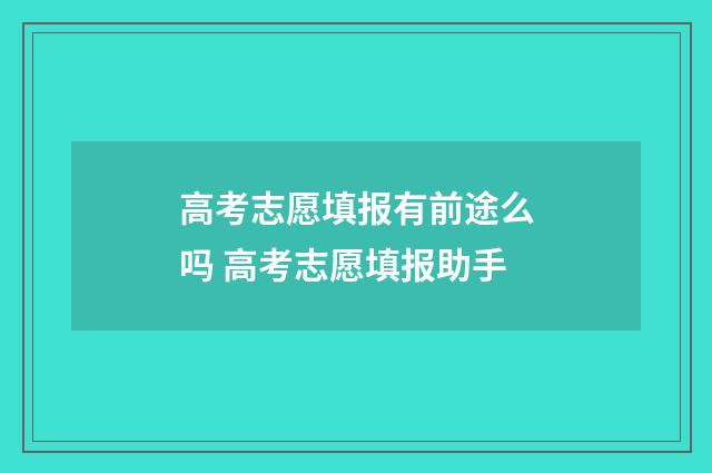 高考志愿填报有前途么吗 高考志愿填报助手