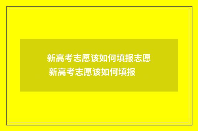 新高考志愿该如何填报志愿 新高考志愿该如何填报