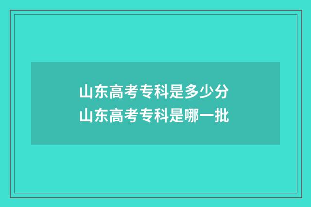 山东高考专科是多少分 山东高考专科是哪一批