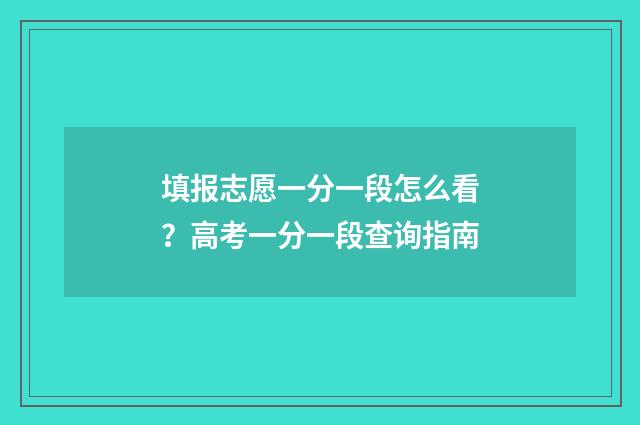 填报志愿一分一段怎么看？高考一分一段查询指南