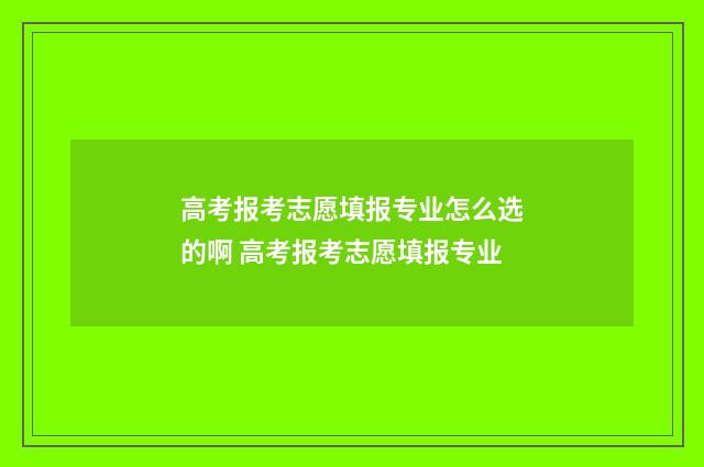 高考报考志愿填报专业怎么选的啊 高考报考志愿填报专业