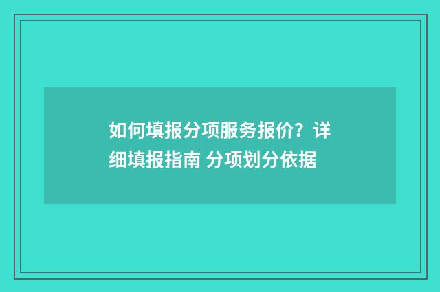 如何填报分项服务报价？详细填报指南 分项划分依据