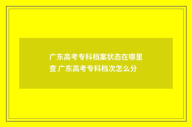 广东高考专科档案状态在哪里查 广东高考专科档次怎么分
