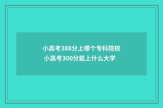 小高考388分上哪个专科院校 小高考300分能上什么大学
