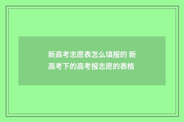 新高考志愿表怎么填报的 新高考下的高考报志愿的表格
