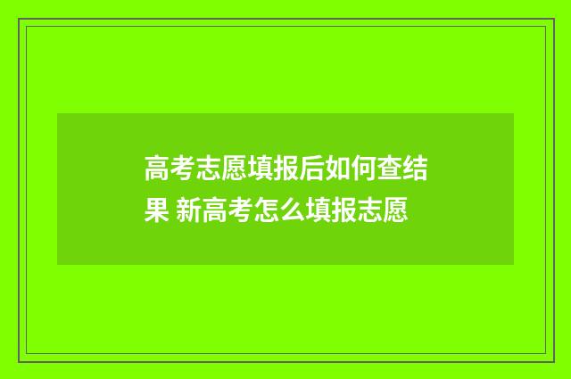 高考志愿填报后如何查结果 新高考怎么填报志愿