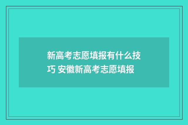 新高考志愿填报有什么技巧 安徽新高考志愿填报