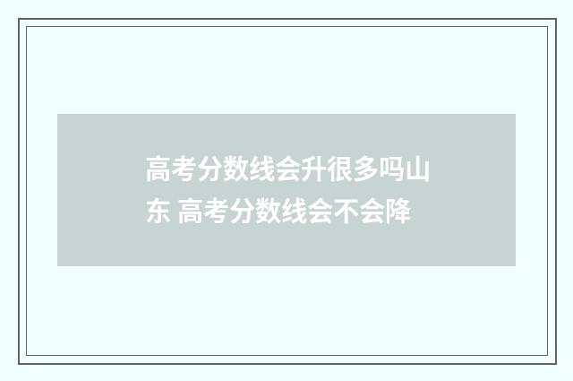 高考分数线会升很多吗山东 高考分数线会不会降