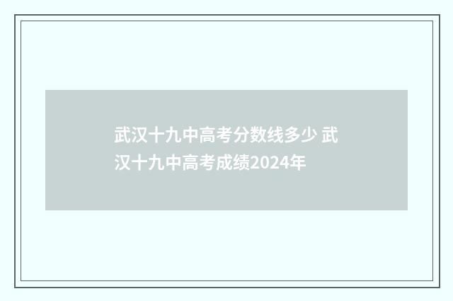 武汉十九中高考分数线多少 武汉十九中高考成绩2024年