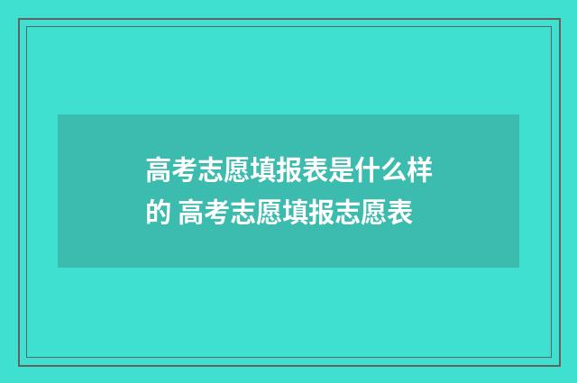 高考志愿填报表是什么样的 高考志愿填报志愿表