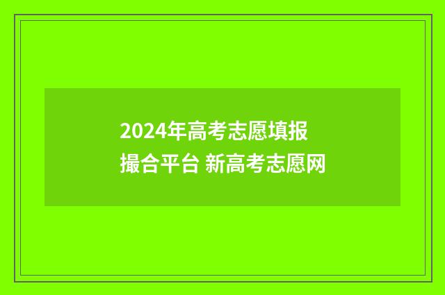2024年高考志愿填报撮合平台 新高考志愿网