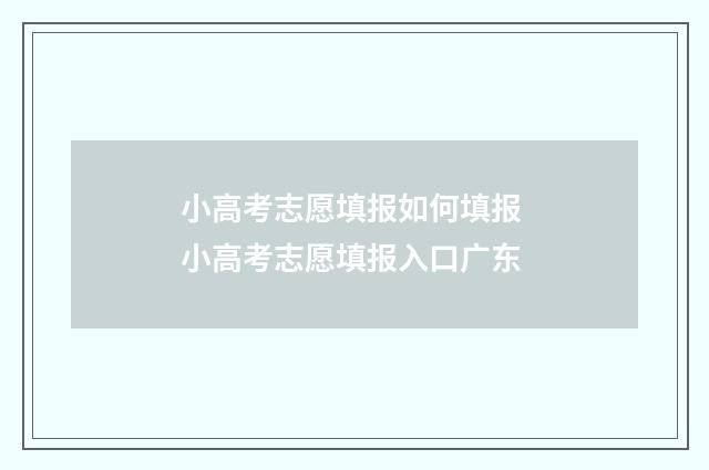 小高考志愿填报如何填报 小高考志愿填报入口广东