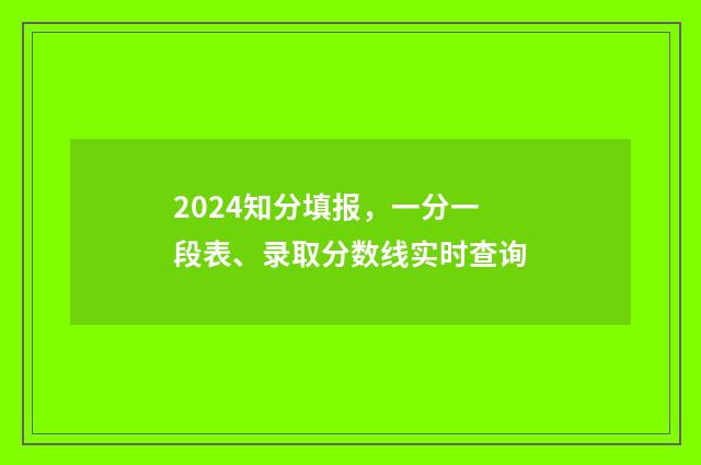 2024知分填报，一分一段表、录取分数线实时查询