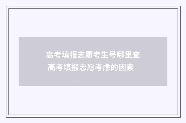 高考填报志愿考生号哪里查 高考填报志愿考虑的因素
