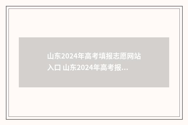 山东2024年高考填报志愿网站入口 山东2024年高考报名