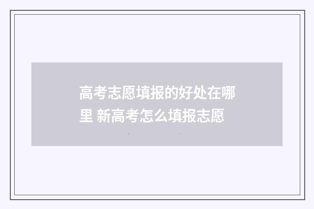 高考志愿填报的好处在哪里 新高考怎么填报志愿