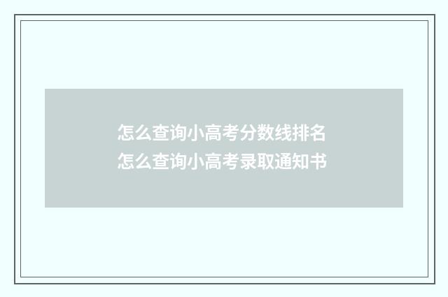 怎么查询小高考分数线排名 怎么查询小高考录取通知书