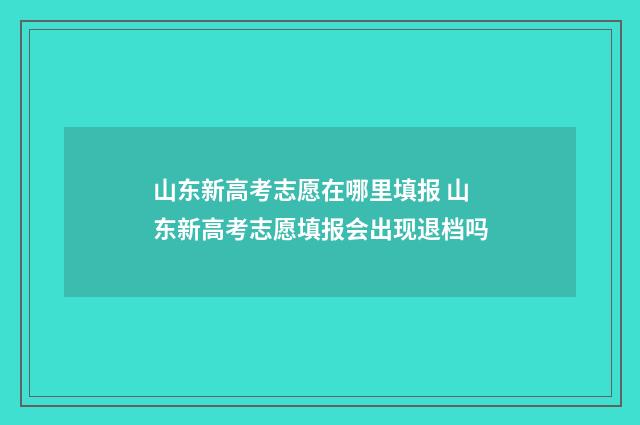 山东新高考志愿在哪里填报 山东新高考志愿填报会出现退档吗