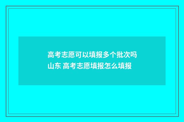 高考志愿可以填报多个批次吗山东 高考志愿填报怎么填报