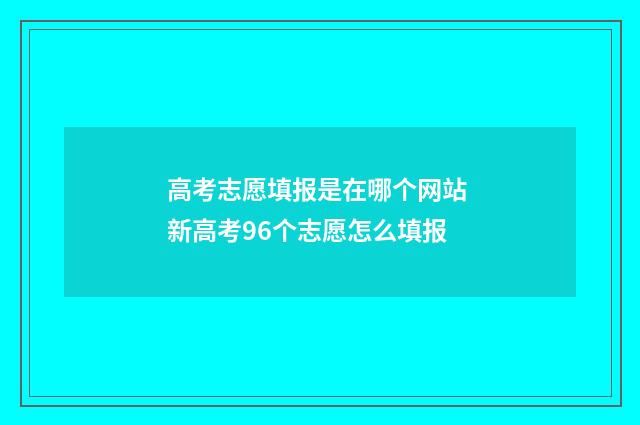 高考志愿填报是在哪个网站 新高考96个志愿怎么填报