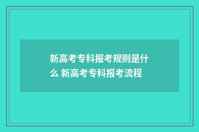 新高考专科报考规则是什么 新高考专科报考流程