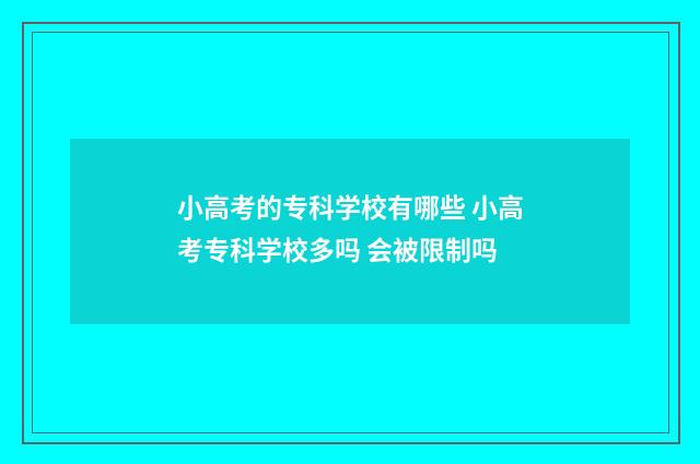 小高考的专科学校有哪些 小高考专科学校多吗 会被限制吗
