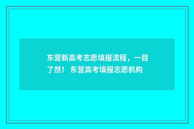 东营新高考志愿填报流程，一目了然！ 东营高考填报志愿机构
