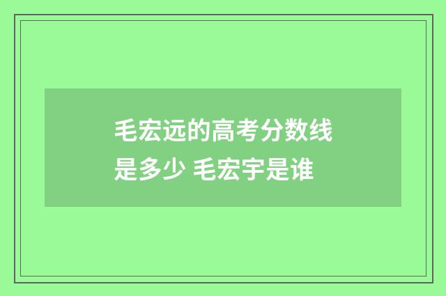 毛宏远的高考分数线是多少 毛宏宇是谁
