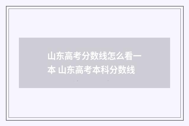 山东高考分数线怎么看一本 山东高考本科分数线