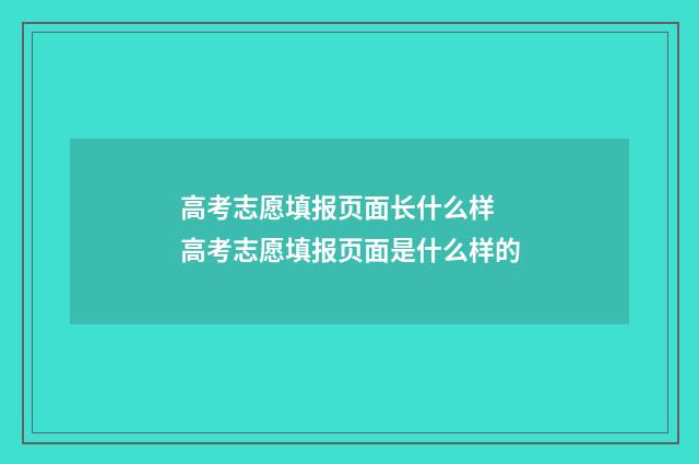 高考志愿填报页面长什么样 高考志愿填报页面是什么样的